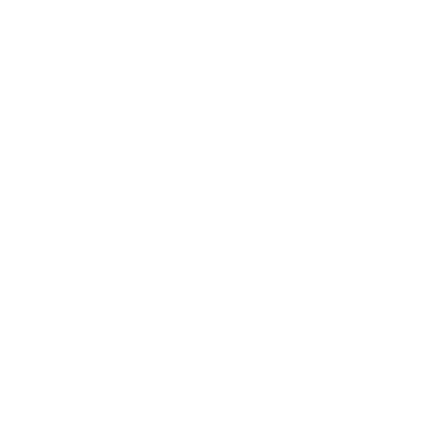 Adnys Logo